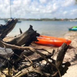 Pelican Sport Pulse 100X With Paddle Kayak -Boating Shop KOS10P102 00 LS4