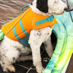 Dog Traction Pad For Kayaks 11 Dog Traction Pad For Kayaks -Boating Shop PS1964 00 LS2