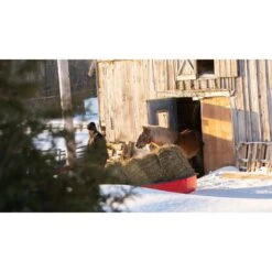 Trek Sport 94 Utility Sled With Runners. Tow Hitch & Travel Cover -Boating Shop a5f0083f0937f6898ef740873b165af53c331479